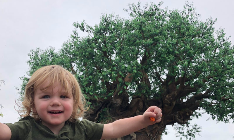 Toddler with Tree of Life