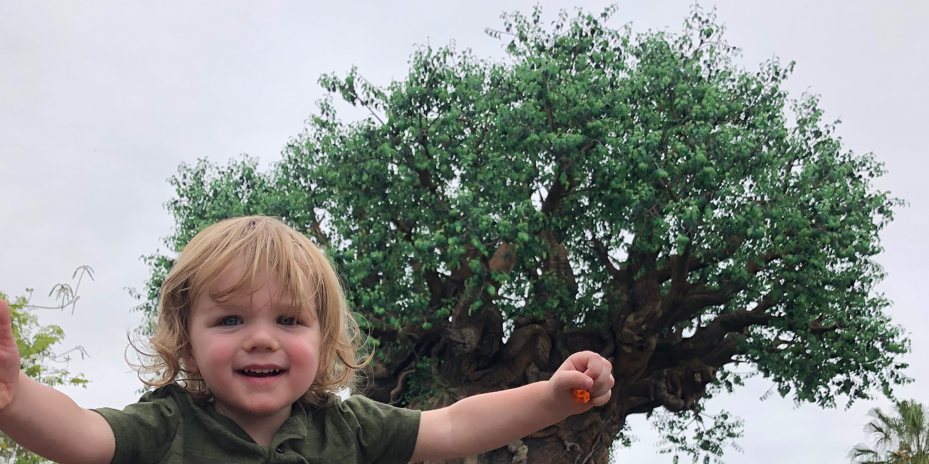 Toddler with Tree of Life